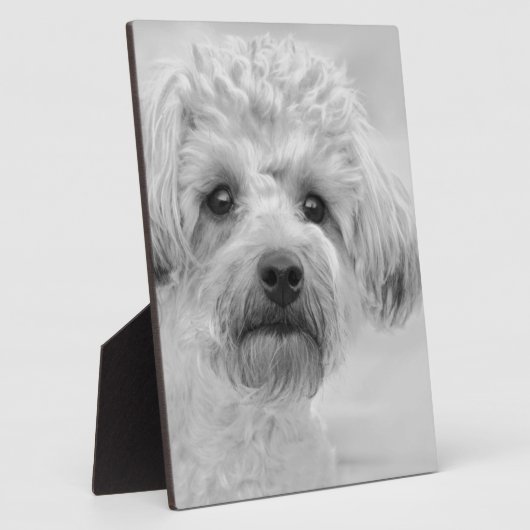 素晴らしヨークシャーテリアプーインセピアトーン フォトプラーク (側面)