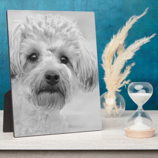 素晴らしヨークシャーテリアプーインセピアトーン フォトプラーク (側面)