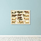 素晴らしヴィンテージ農家カラー牛チャート! キャンバスプリント (インサイチュ (ウッドフロア))