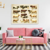 素晴らしヴィンテージ農家カラー牛チャート! キャンバスプリント (インサイチュ (リビング))