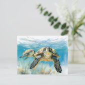 素晴らし亀 ポストカード (スタンド正面)