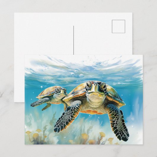 素晴らし亀 ポストカード (正面/裏面)