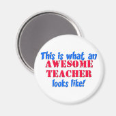 素晴らし先生 マグネット (正面/裏面)