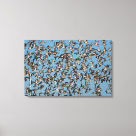 素晴らし冬鴨 キャンバスプリント