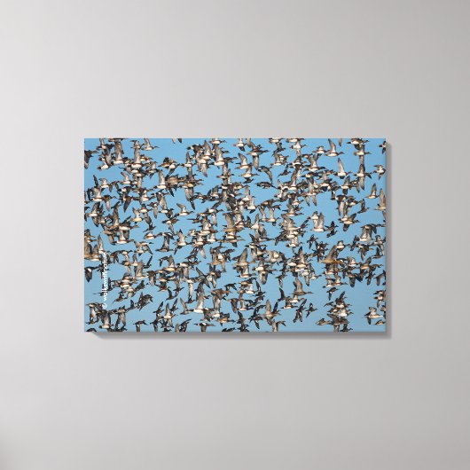 素晴らし冬鴨 キャンバスプリント (正面)