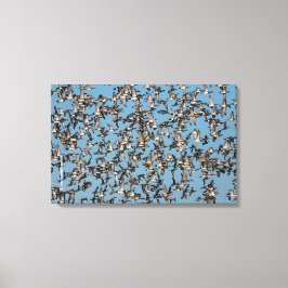 素晴らし冬鴨 キャンバスプリント