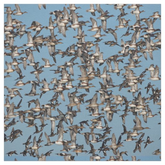 素晴らし冬鴨 ファブリック (見本)