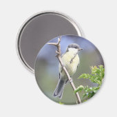 素晴らし力磁石 マグネット (正面/裏面)