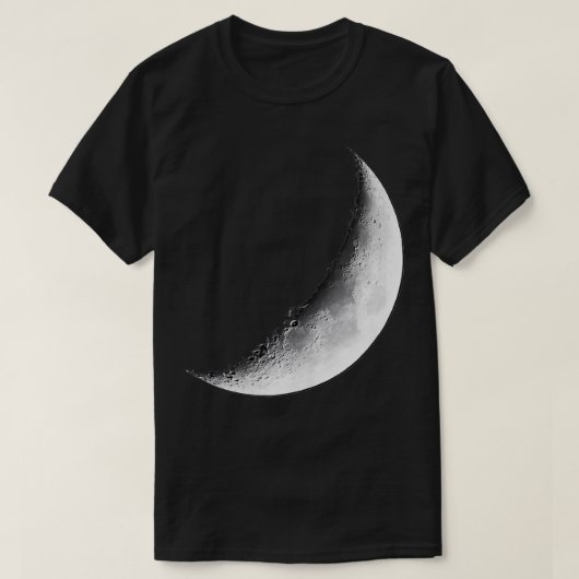 素晴らし半月 Tシャツ (デザイン正面)