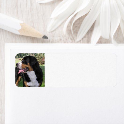 素晴らし山犬 ラベル (インサイチュ)