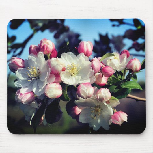 素晴らし春花 マウスパッド (正面)