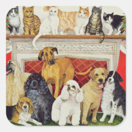 素晴らし期待 スクエアシール