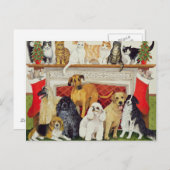 素晴らし期待 ポストカード (正面/裏面)