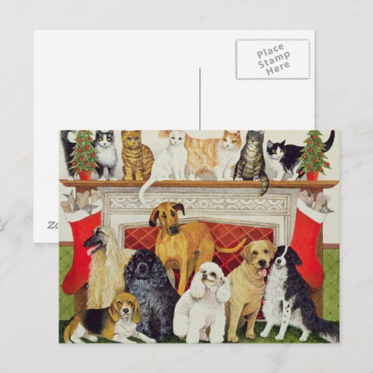 素晴らし期待 ポストカード (正面/裏面)