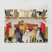 素晴らし期待 ポストカード (正面)