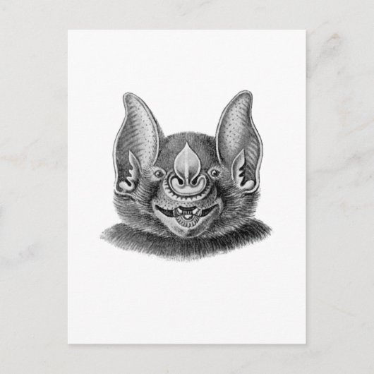 素晴らし槍こうもり ポストカード (正面)