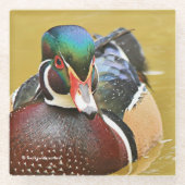 素晴らし池の木の鴨 ガラスコースター (正面)