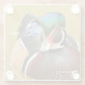 素晴らし池の木の鴨 ガラスコースター (裏面)