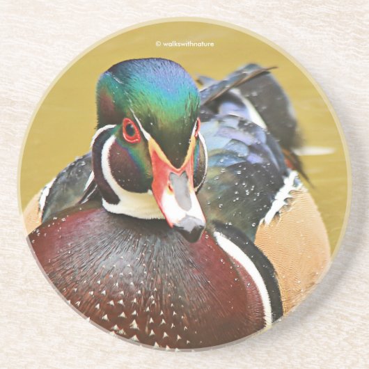 素晴らし池の木の鴨 コースター (正面)