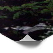 素晴らし滝 ポスター (角)