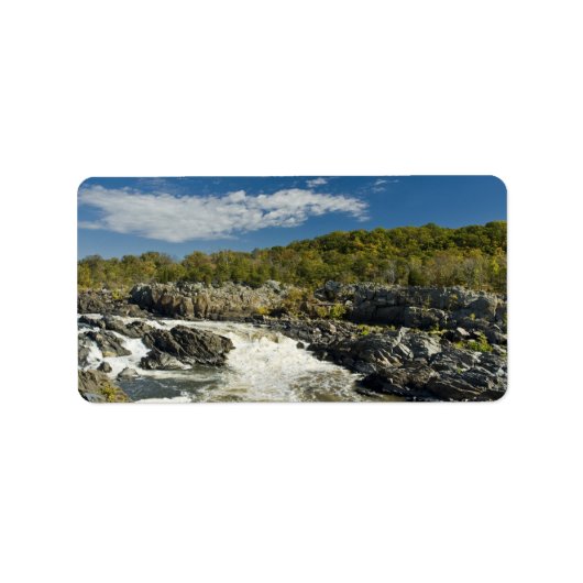 素晴らし滝 ラベル (正面)