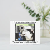 素晴らし生物 ポストカード (スタンド正面)