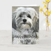 「素晴らし祝21st」誕生日 カード (黄色い花)