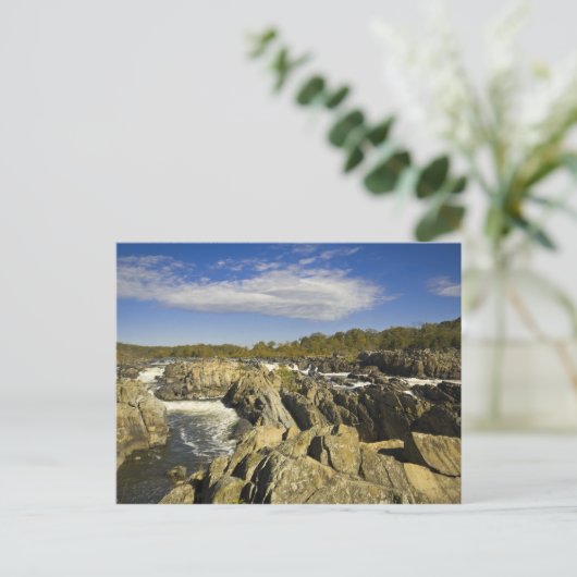 素晴らし秋バージニアはがき ポストカード (スタンド正面)