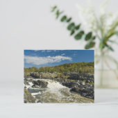 素晴らし秋バージニアはがき ポストカード (スタンド正面)