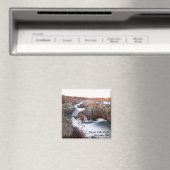 素晴らし秋磁石 マグネット (インサイチュ (食洗機))