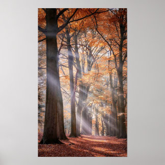 素晴らし自然のポスター ポスター