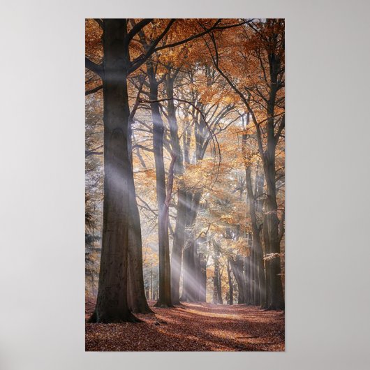 素晴らし自然のポスター ポスター (正面)