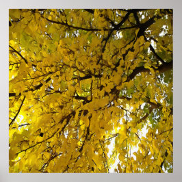 素晴らし葉抽象芸術芸術 ポスター