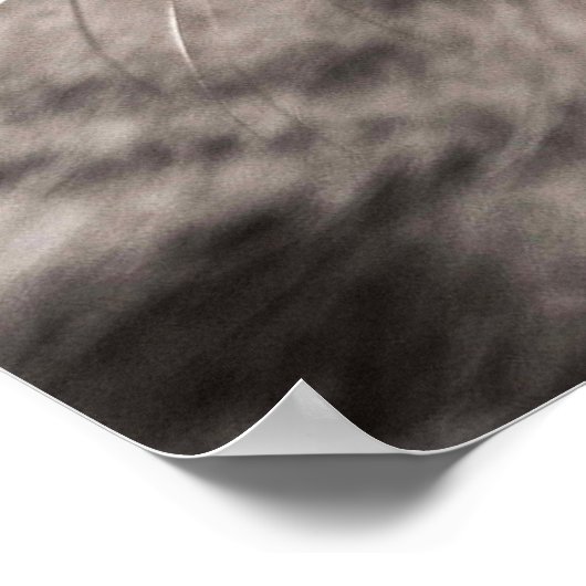 素晴らし虎猫猫が前足をなめる ポスター (角)