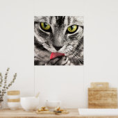 素晴らし虎猫猫が前足をなめる ポスター (キッチン)