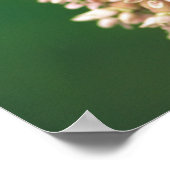 素晴らし蝶 ポスター (角)