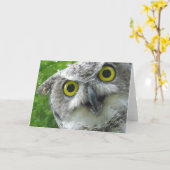 素晴らし角状のフクロウ カード (黄色い花)