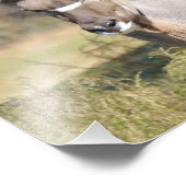 素晴らし都 フォトプリント            (角)