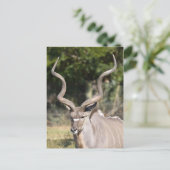 素晴らし都 ポストカード (スタンド正面)