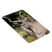 素晴らし都 マグネット (右側)