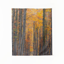 素晴らし金ゴールド秋の森