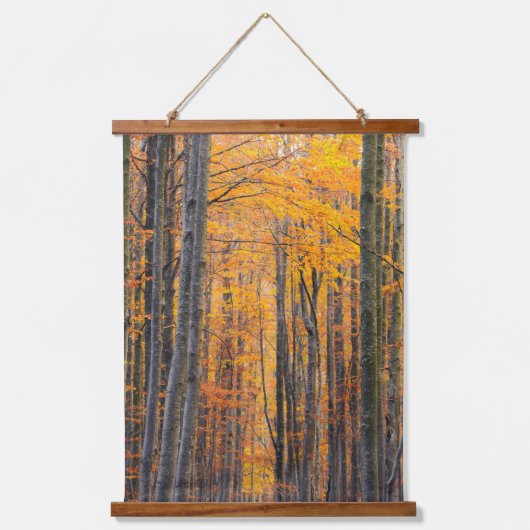 素晴らし金ゴールド秋の森 吊り下げ型タペストリー (正面)