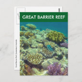 素晴らし魚 ポストカード (正面/裏面)