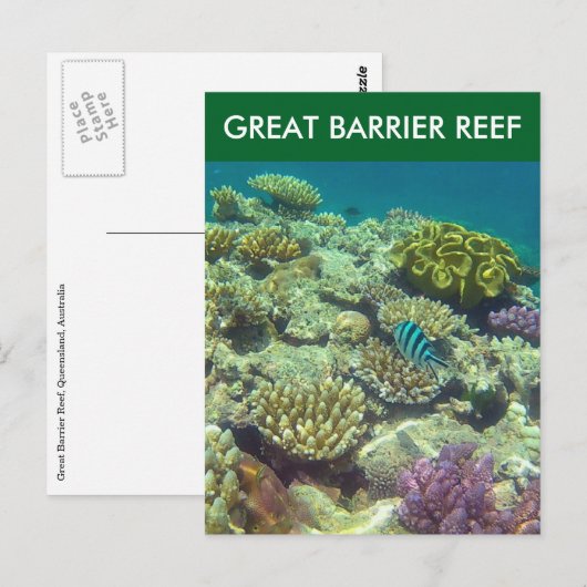 素晴らし魚 ポストカード (正面/裏面)