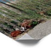 素晴らし! ポスター (角)