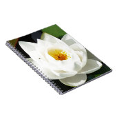 素晴らし《植物》スイレン(金ゴールドセンター) ノートブック (右側)