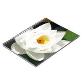 素晴らし《植物》スイレン(金ゴールドセンター) ノートブック (左側)