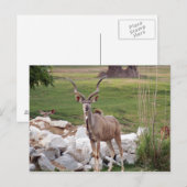 素晴らし-6 ポストカード (正面/裏面)