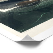 素晴らしAuk by Audubon Poster ポスター (角)