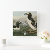 素晴らしAuk - John James Audubon's Birds of America スクエア壁時計 (ホーム)